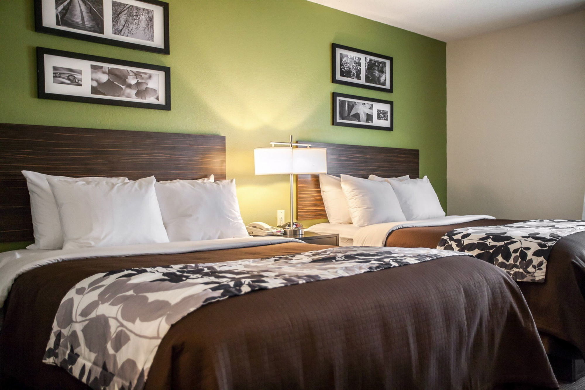 Sleep Inn & Suites Metairie Δωμάτιο φωτογραφία